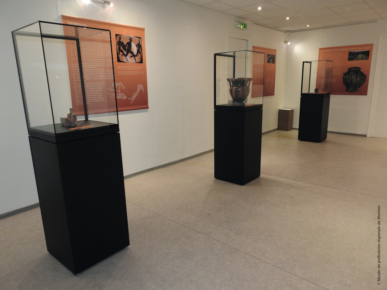 Vitrine cloche Allure